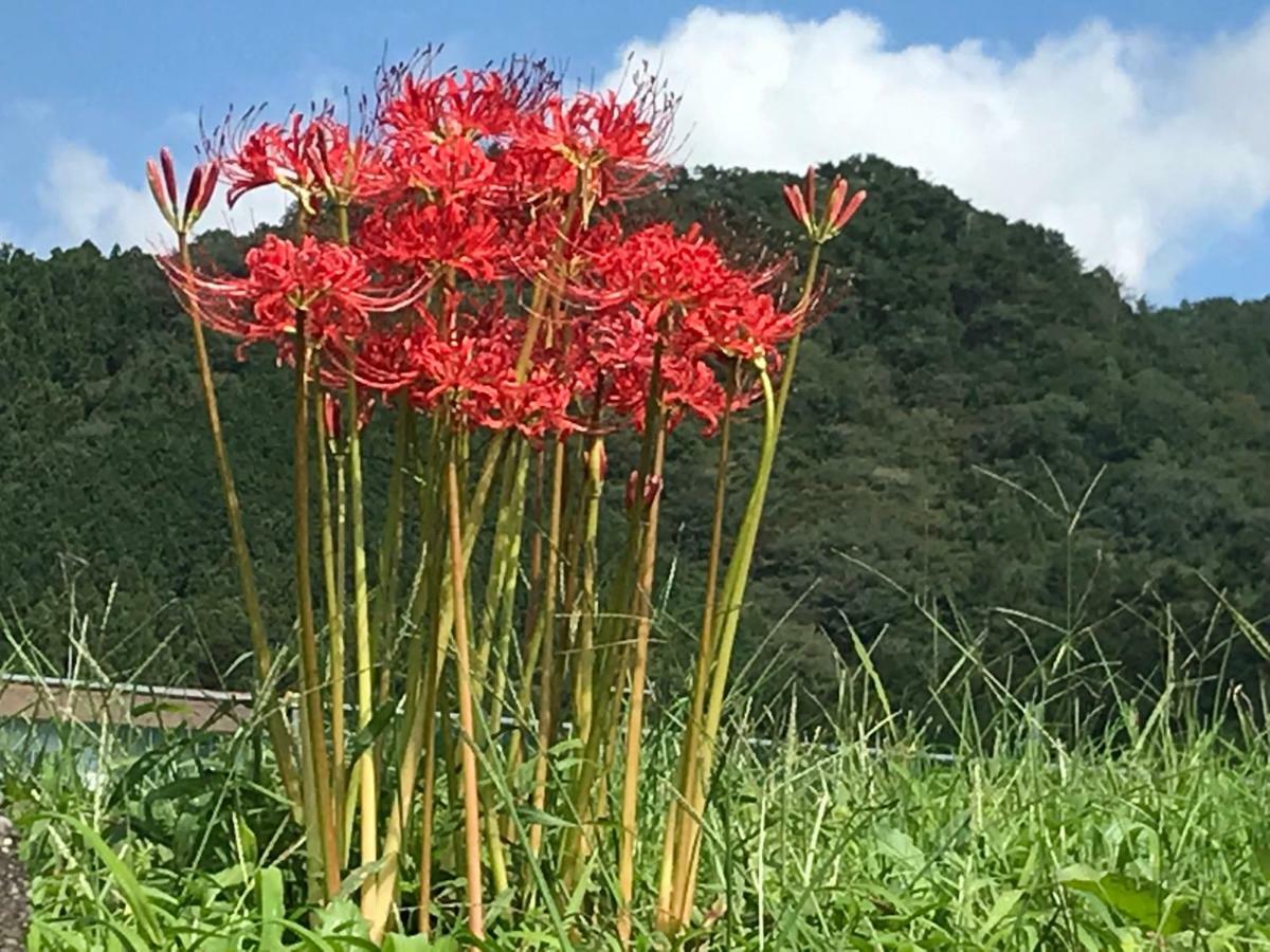 Kinugawa Club Hotel Kinsenkaku Nikko Zewnętrze zdjęcie